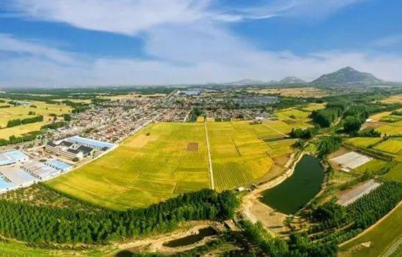 和美乡村 | 邹城市峄山镇:绘就"峄山"美丽乡村新画卷