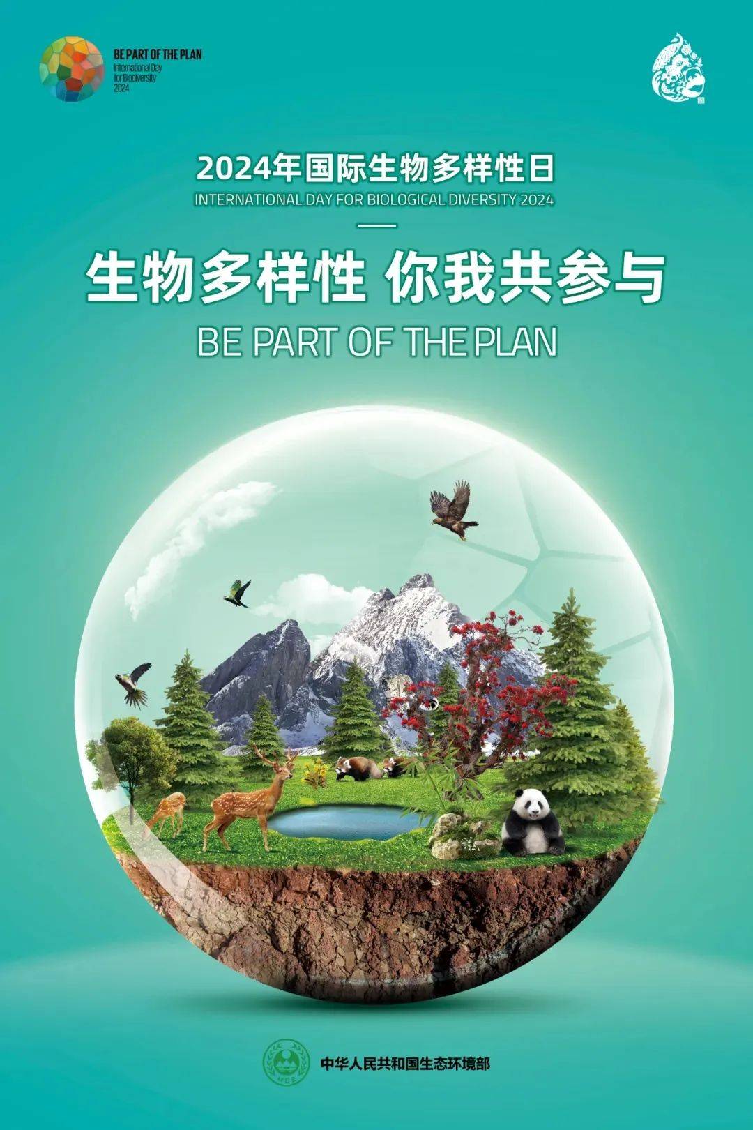 2024年国际生物多样性日——生物多样性、你我共参与_保护_物种_环境