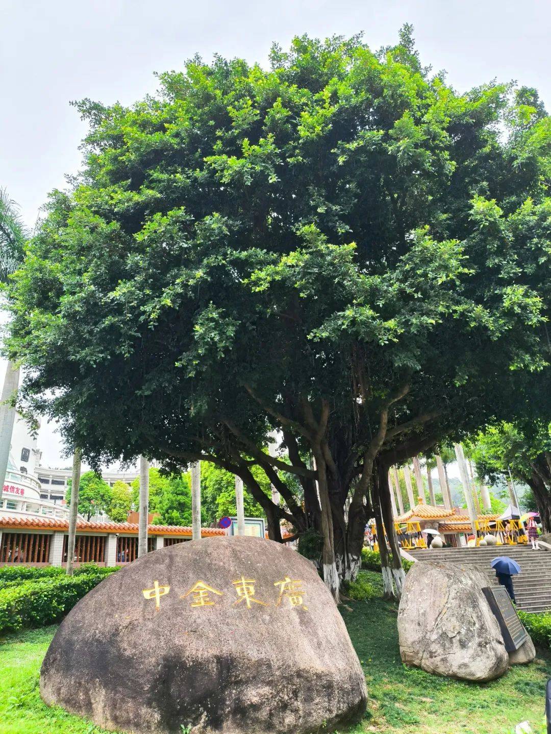 家长志愿者代表,一齐走进汕头市金山中学,开展访学参观活动,近距离