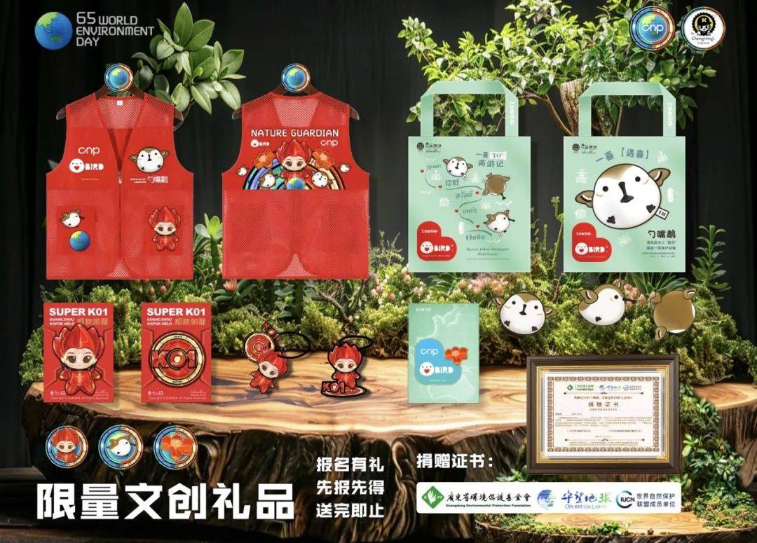 六五环境日·公益徒步|邀您参与,一起保护"鸟中大熊猫"勺嘴鹬