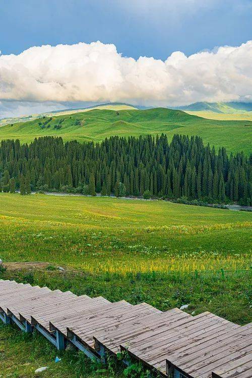 「中国最美公路」解封倒计时!