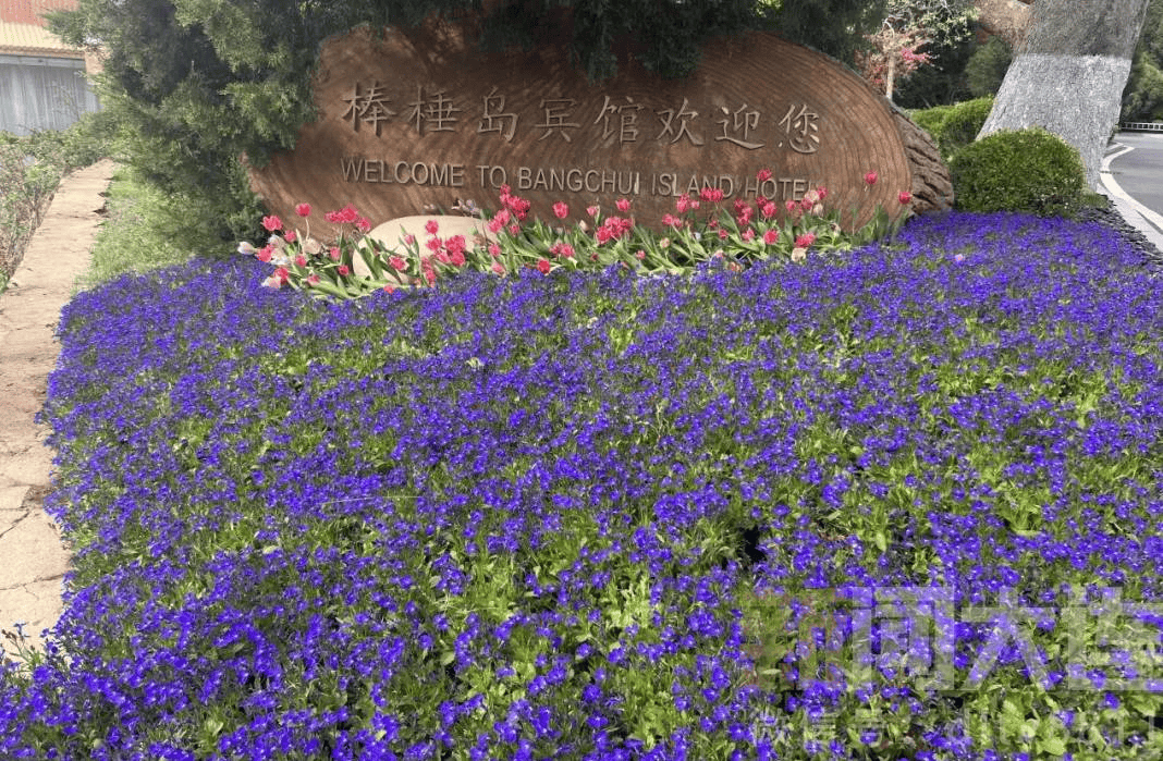 02近期,除甘井子区南关岭街道以