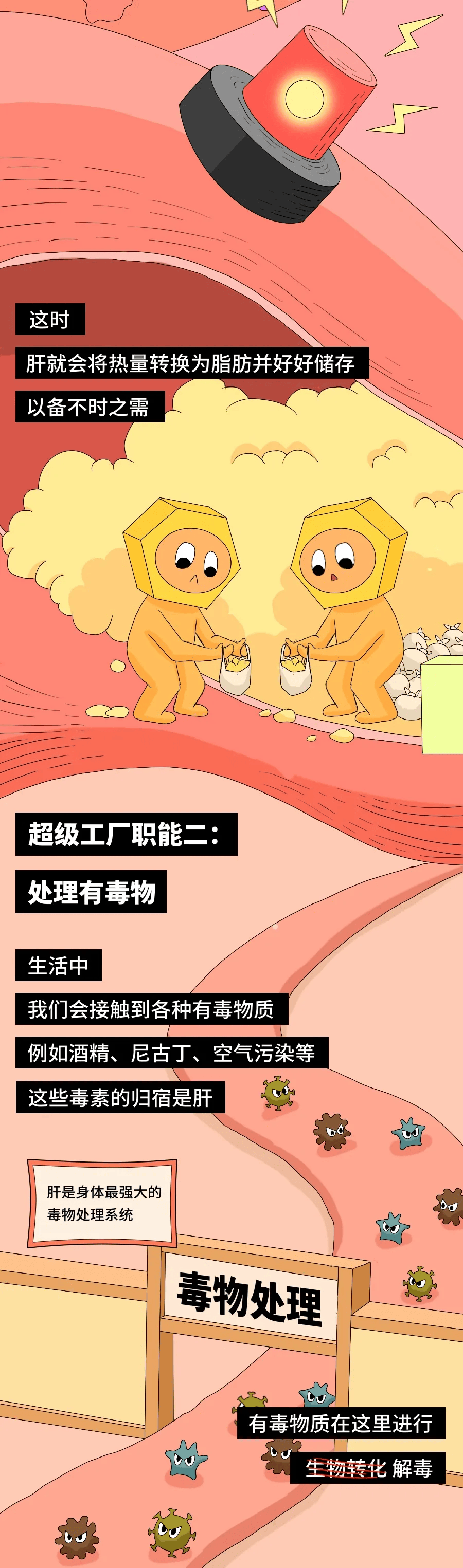 🌸中国国际电视台【新澳门一肖一码精准资料公开】|国人手劲变小了 | 握力与健康息息相关：握力越大，人越长寿  第2张