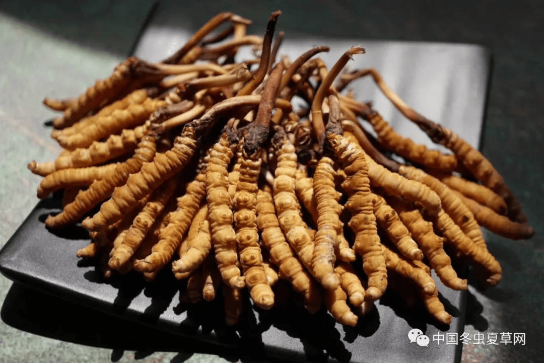 黄色,发黑的较少,黑斑,黑点也较少,颜色与外观要比其他产地虫草更好看