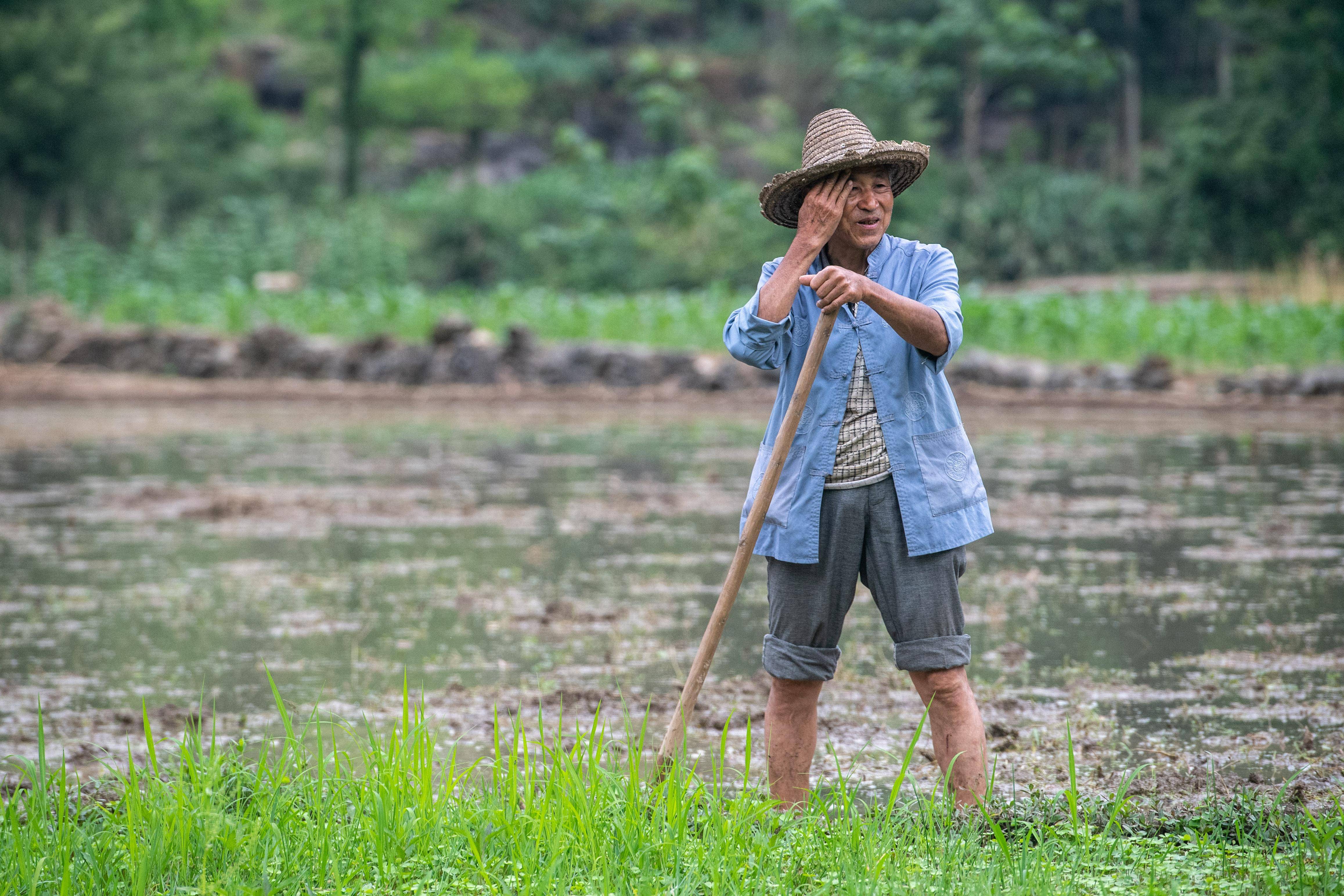 镜观·非遗丨酉阳阳戏艺人:一手耕田一手戏