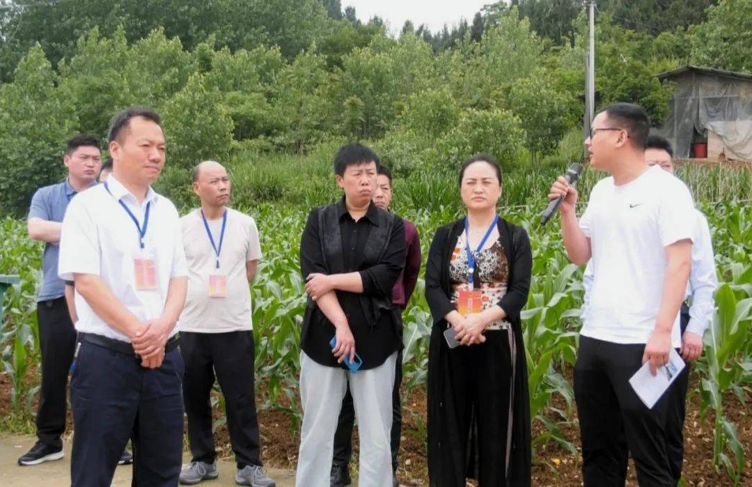 县人大常委会视察农村公路安全生命防护工程工作