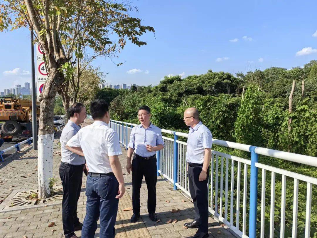 边督边改立行立改|两江新区党工委委员,管委会副主任张黎现场督办中央