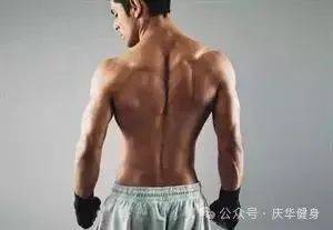 超有魅力的性感背沟，到底该怎么练？_背部_动作_哑铃