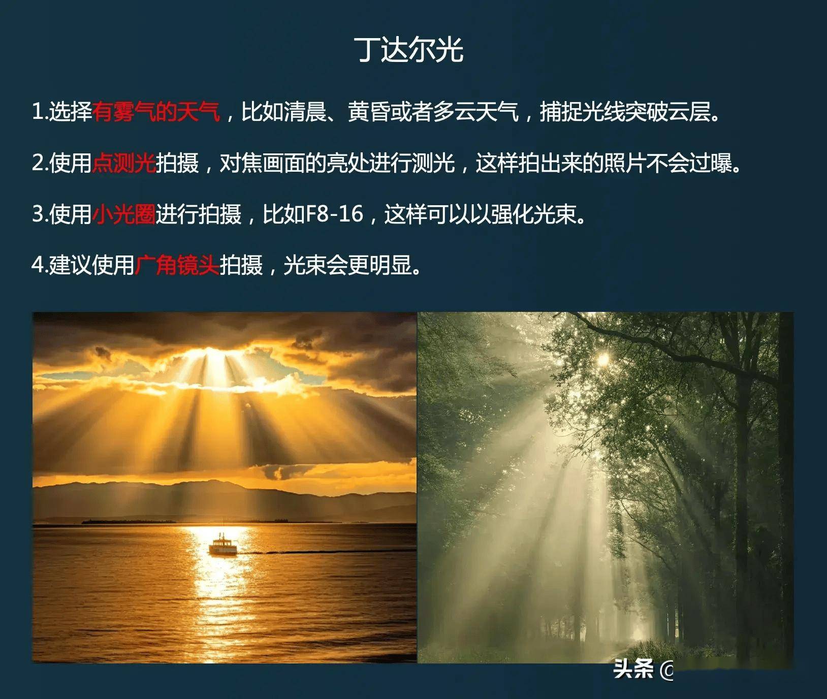 拍好了就是大神级作品!【参数总结】_星芒_光斑_效果