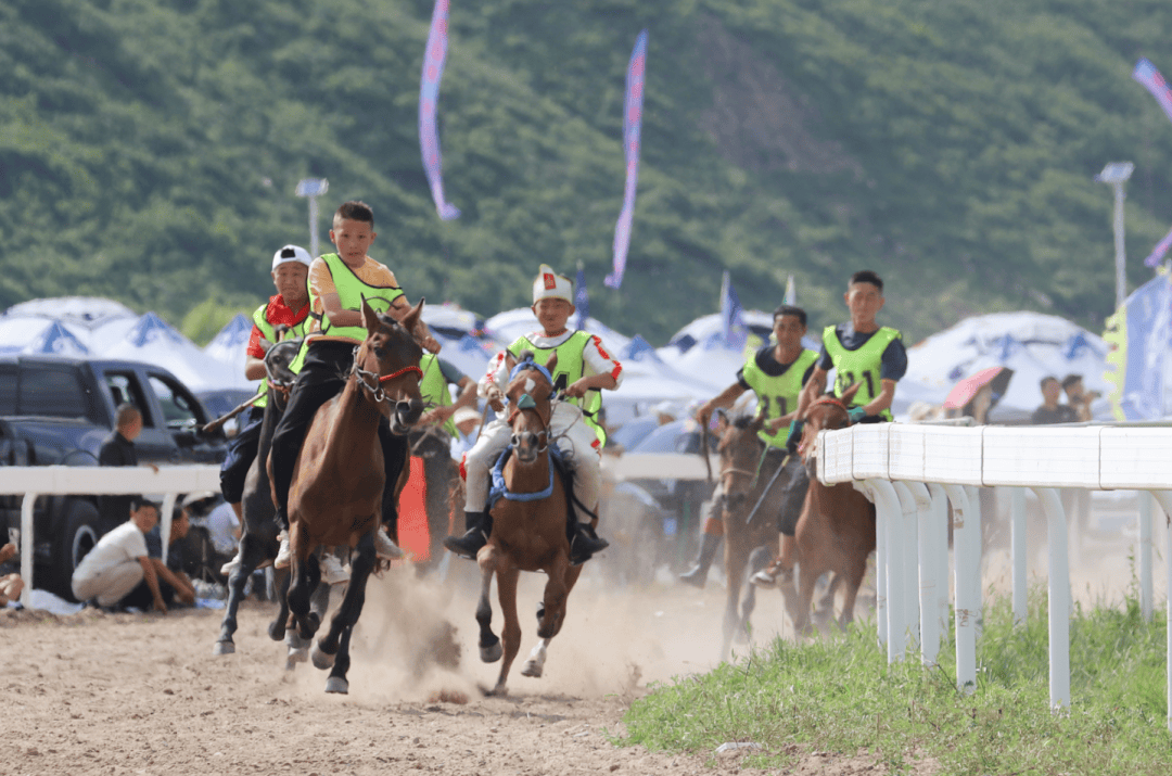 那达慕大会,是蒙古族人民一年一度的盛大集会,也是草原上最为精彩的