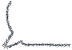 点"在看"给我一朵小黄花新民周刊所有平台稿件,未经正式授权一律不得