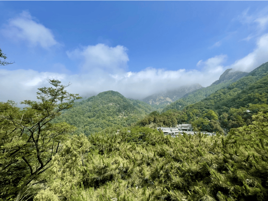 组图|雨后泰山中天门云雾缭绕宛如仙境