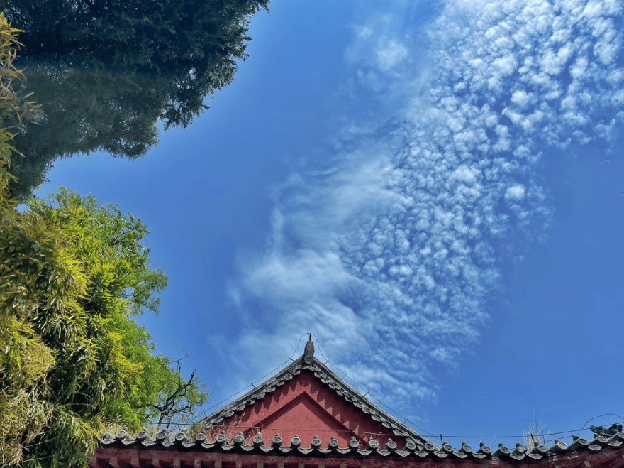 组图|雨后泰山中天门云雾缭绕宛如仙境