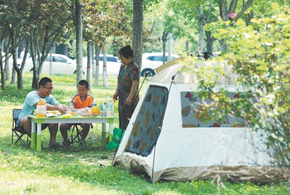 开放共享 生活向新——石家庄人草坪上的休闲时光_绿地_市民_公园
