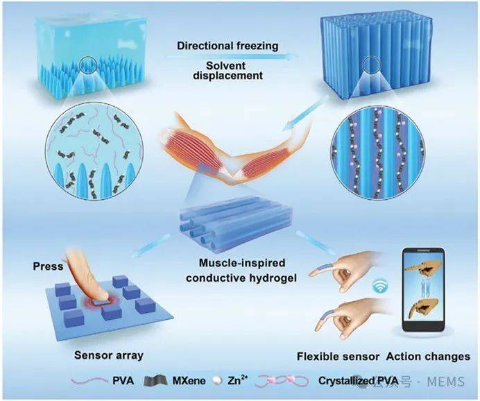 综述:用于健康监测和预警的智能水凝胶传感器