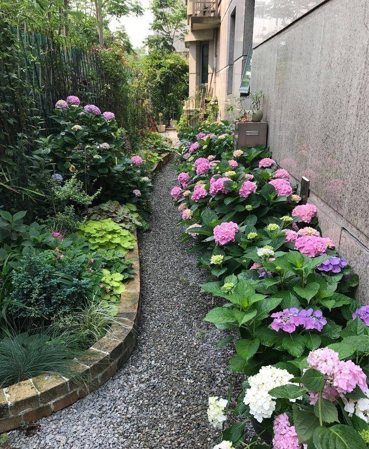 有院子一定要养的"3种花",花多花大又好看好养,美成一幅画
