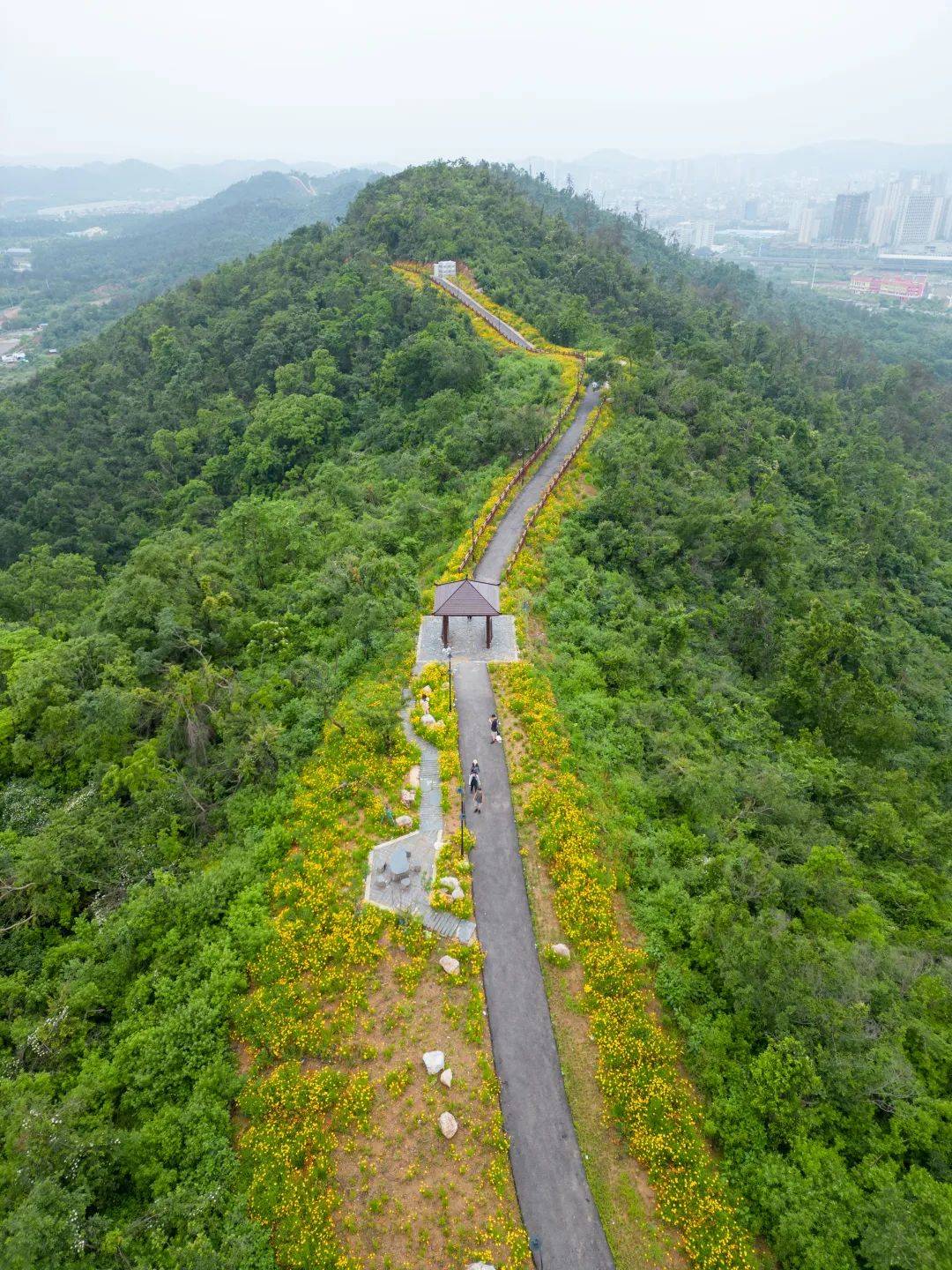 襄阳_方山_步道