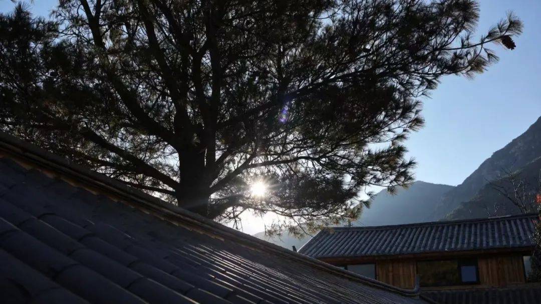 冯学成先生: 中国古代隐士的宣言书_庄子_杨朱_思想