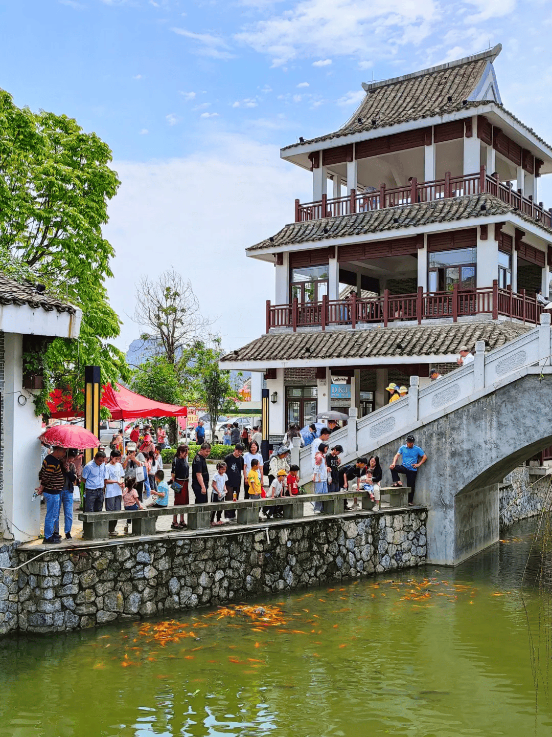 探索玉林"流量密码",他们在行动!