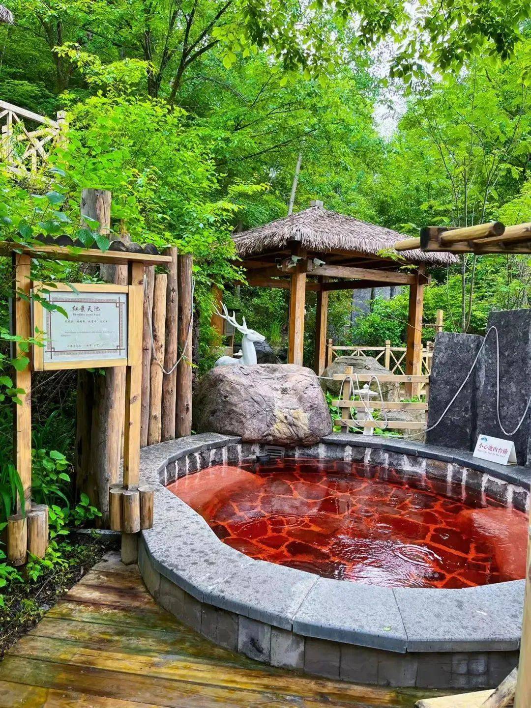 听说,下雨天和泡温泉更配哦~_长白山_森林_自然