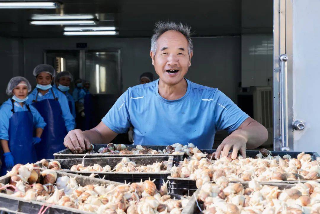 特别策划丨这"young"的大桥镇