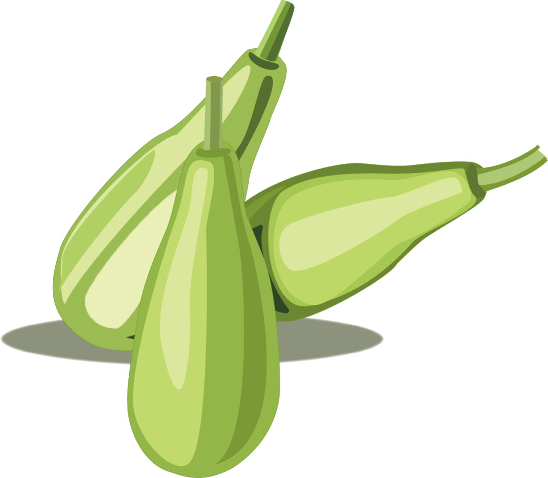 这些瓜出现苦味立即弃用!严重可致命