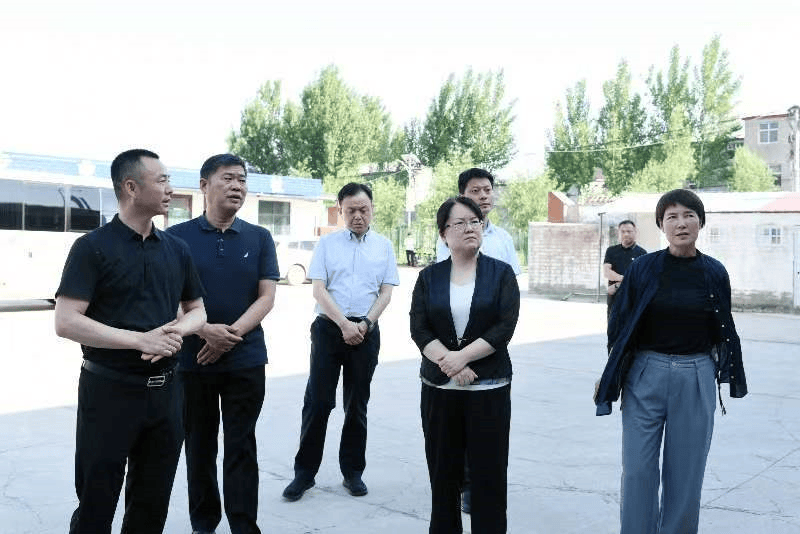 丁文霞调研全县"三夏"生产工作