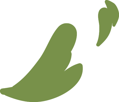 景区_木门_旺苍县