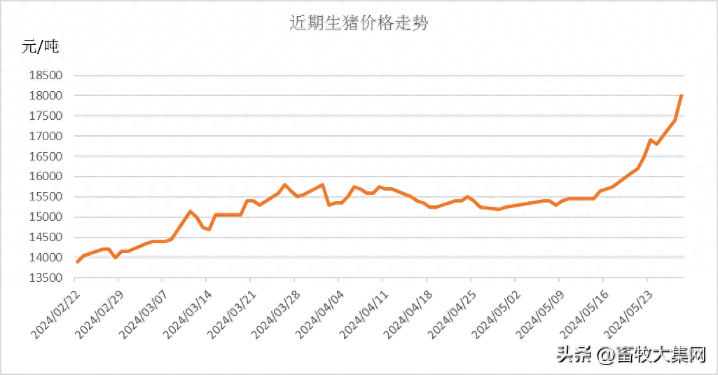 5月28日猪价:现货生拉硬拽飙涨 期货却没自信