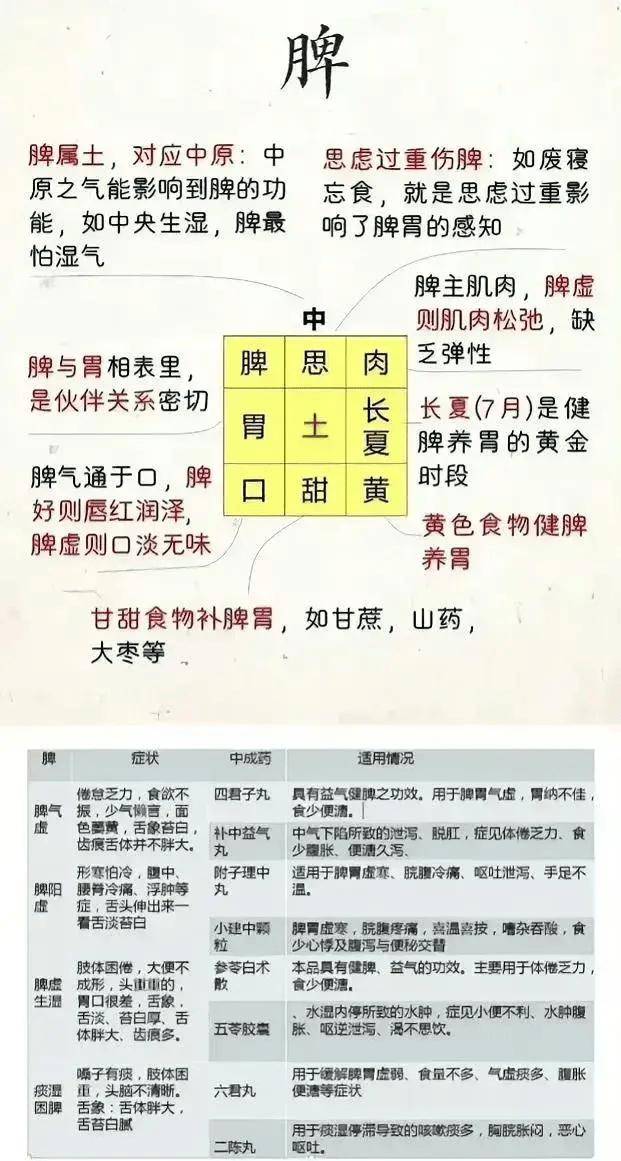 九宫格对应五脏六腑图图片