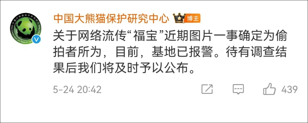 韩国媒体称"福宝"在中国受虐待,央视下场辟谣!