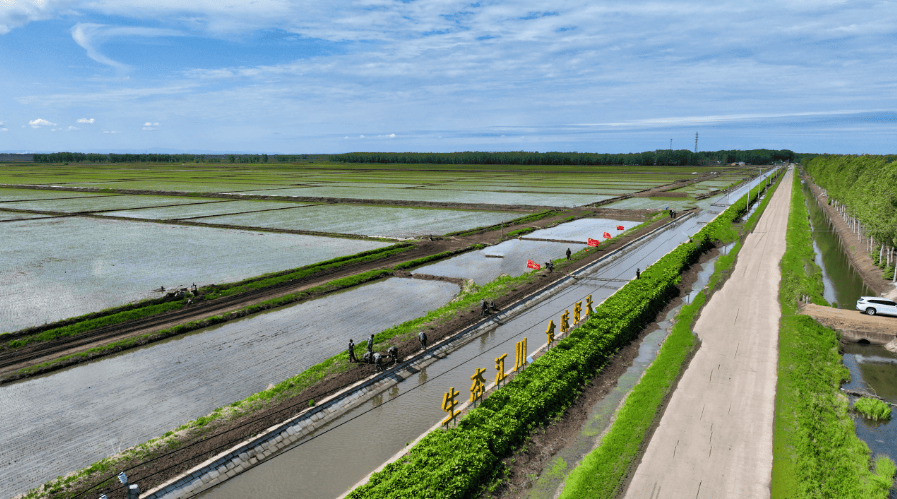江川农场开展"绿美江川"建设暨"党员110"义务劳动