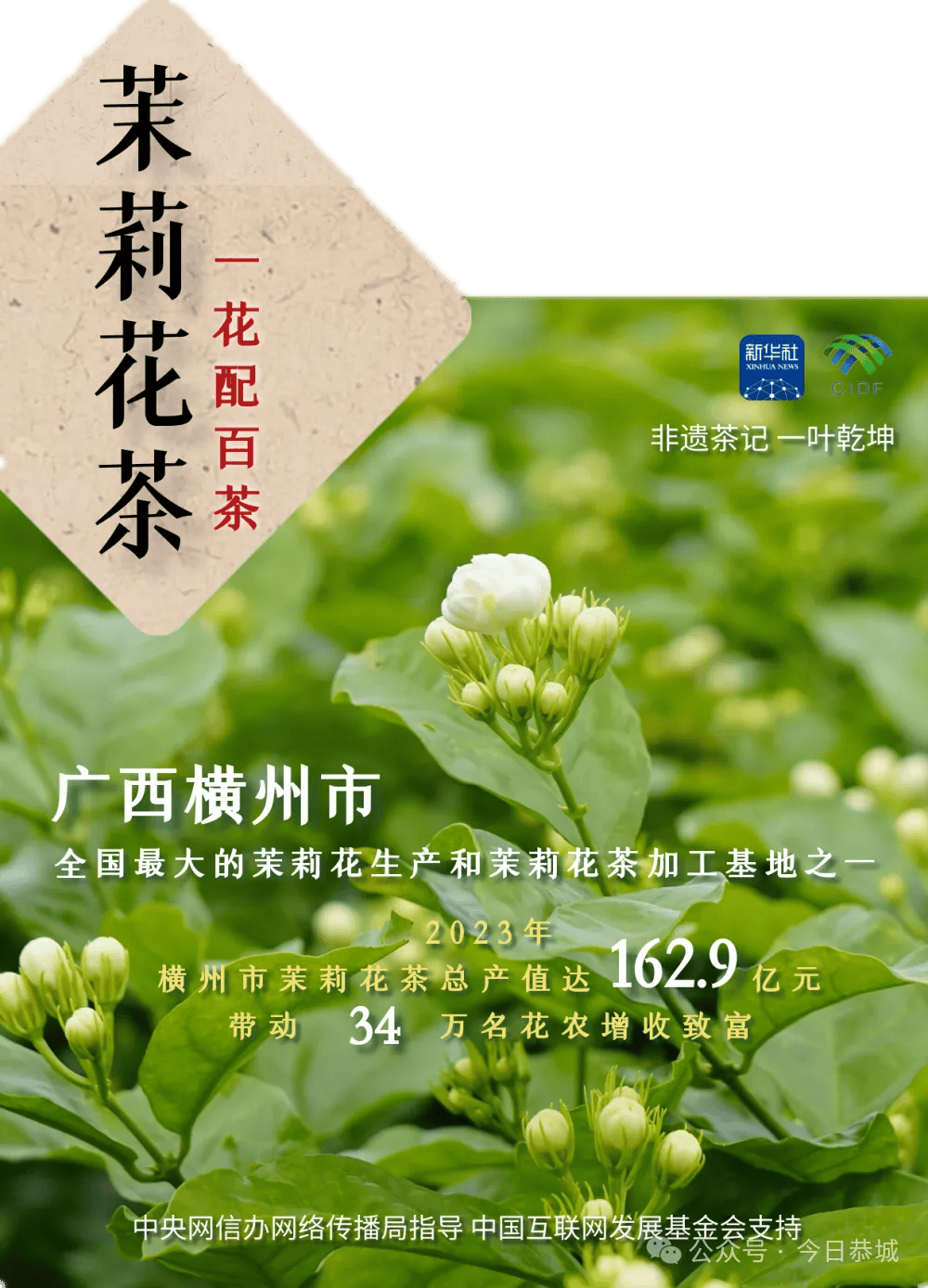 【新华社】茶说 | 从茶叶到茶业_恭城_广西_油茶
