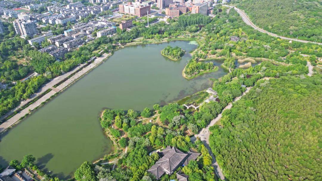 大通湿地公园月季园两琴相悦淮南迎宾馆淮南高新区中央公园焦岗湖影视