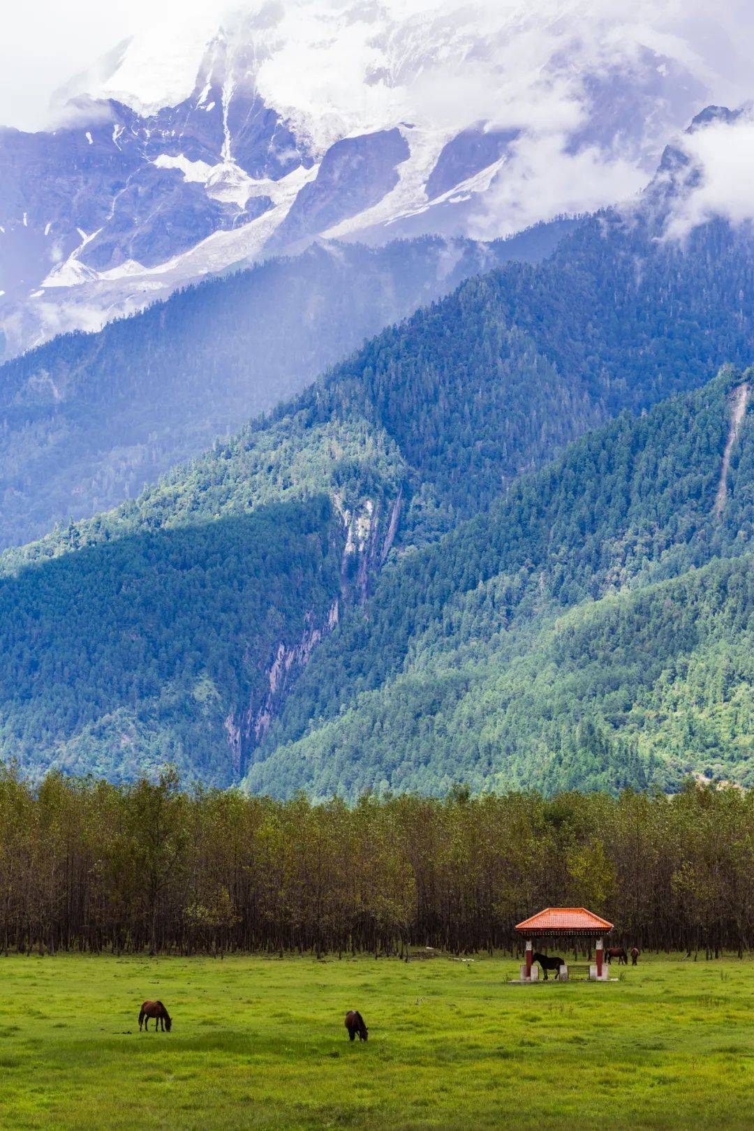 行摄念青东 | 六月与九月