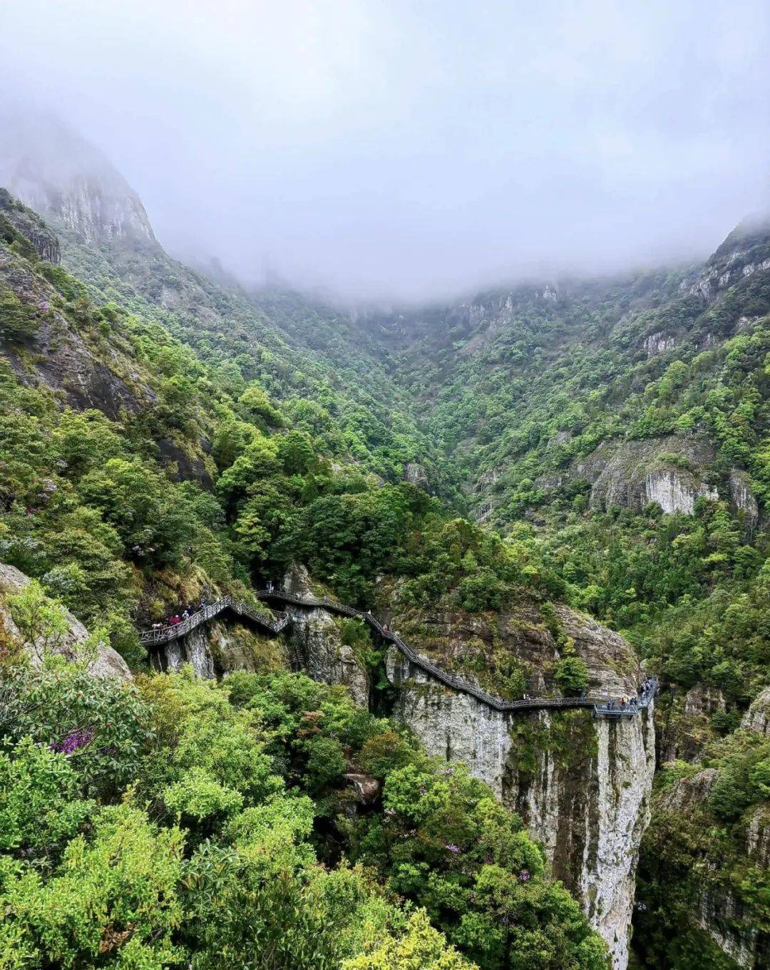 仙居杨梅季丨6月11-15号,浙江雁荡山,仙居,温岭,台州落地自驾之旅