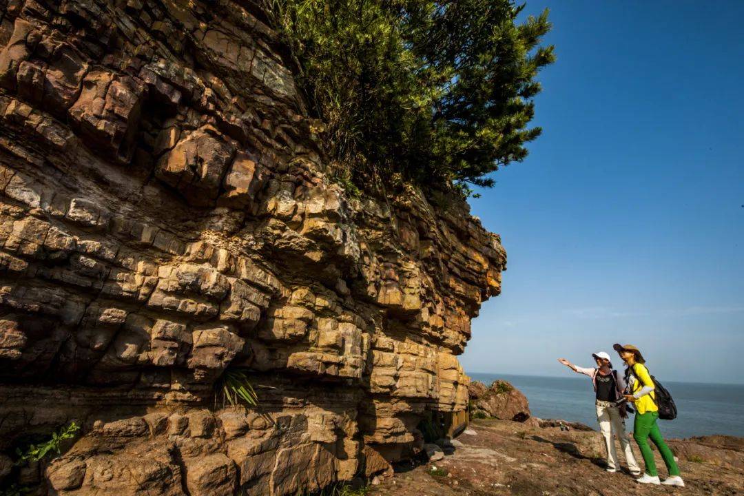 沉浸式观"万鸟归巢","万鸥齐飞"!_洞头_鹿西_西岛