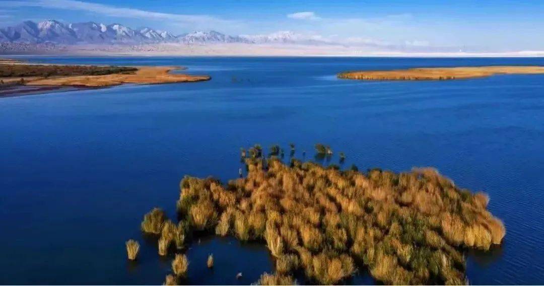 优惠_桐乡_德令哈