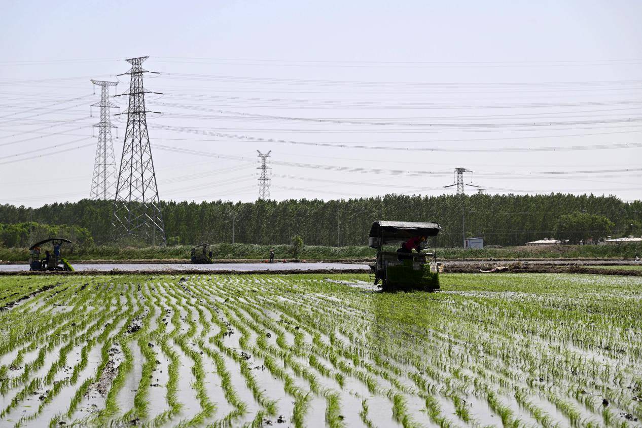顾维治是河北枣强县的一名粮食收储户,每年6月份收购小麦,规模在四万