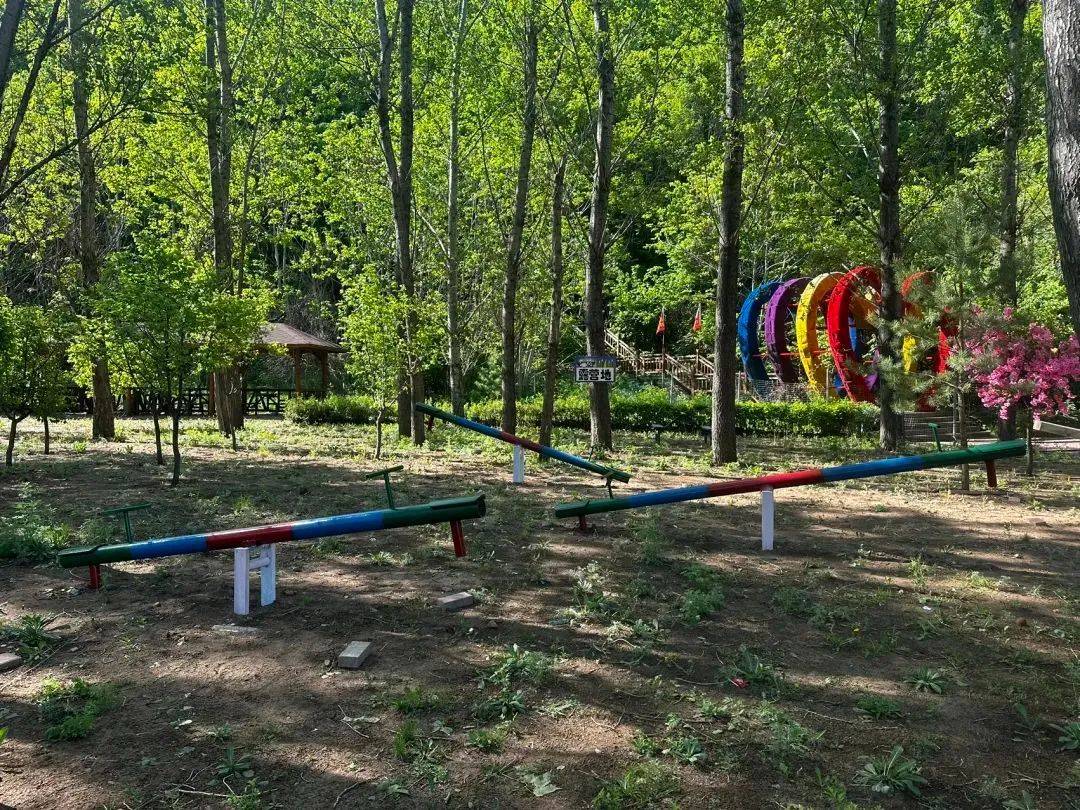 大章鱼),6项套票特价138元(玻璃吊桥 林海飞龙 天空之镜 步步惊心