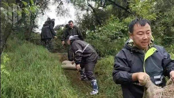 【好人好事好故事】5位社区网格员9个月的真心付出,换