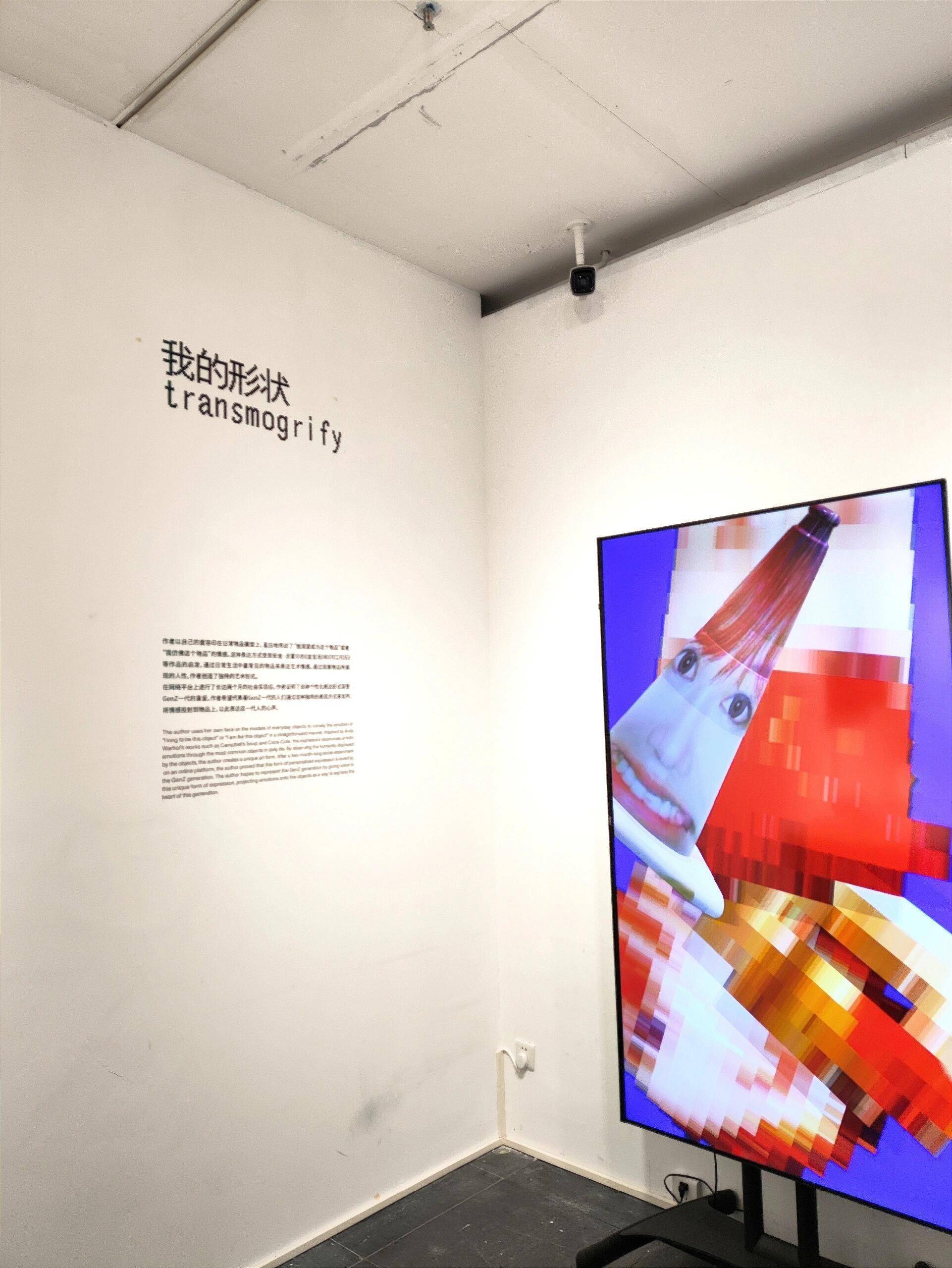 广美毕业展"垃圾艺术"?塑料袋长腿,鸡毛满天飞,网友:长见识