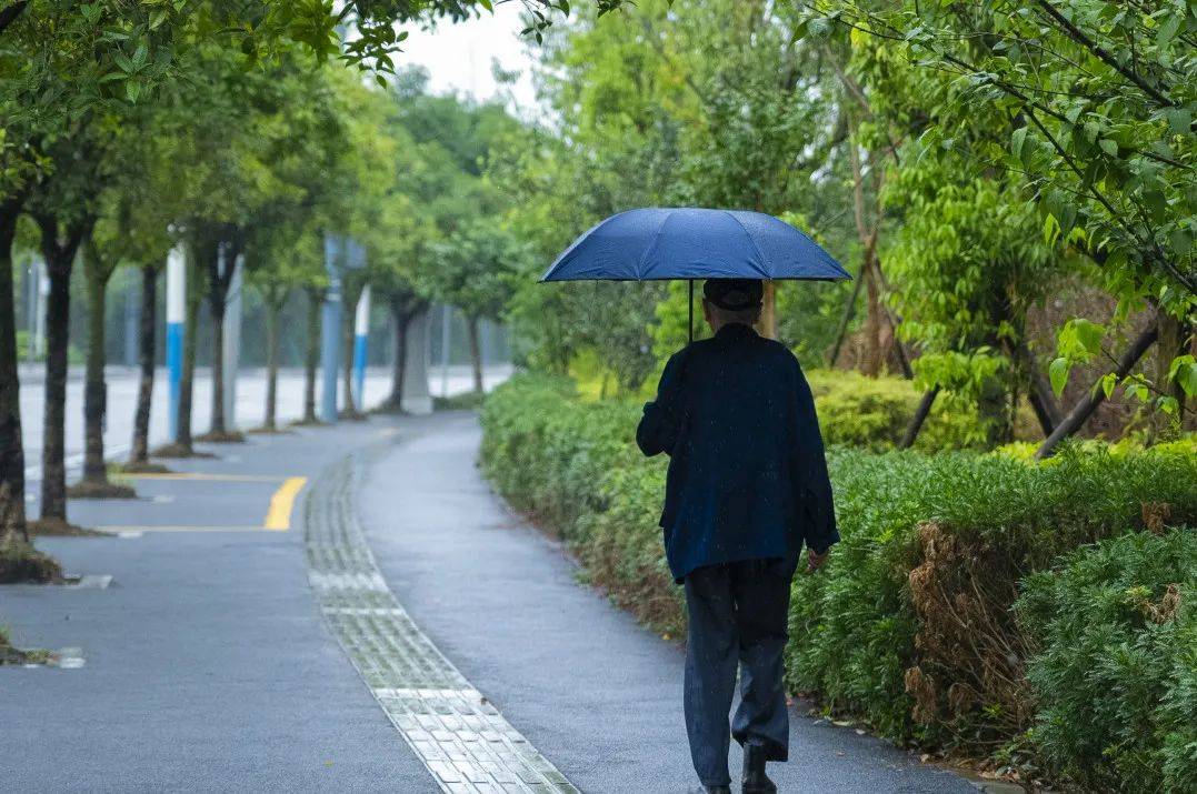 雨后万物焕发新的生机人们悠闲地漫步城市街头拥抱舒适惬意的清凉