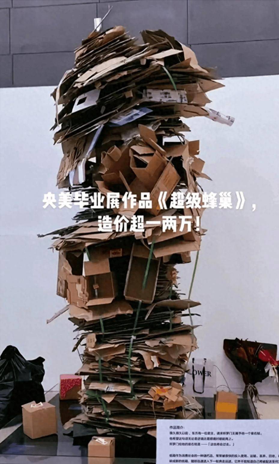 广美毕业展"垃圾艺术"?塑料袋长腿,鸡毛满天飞,网友:长见识