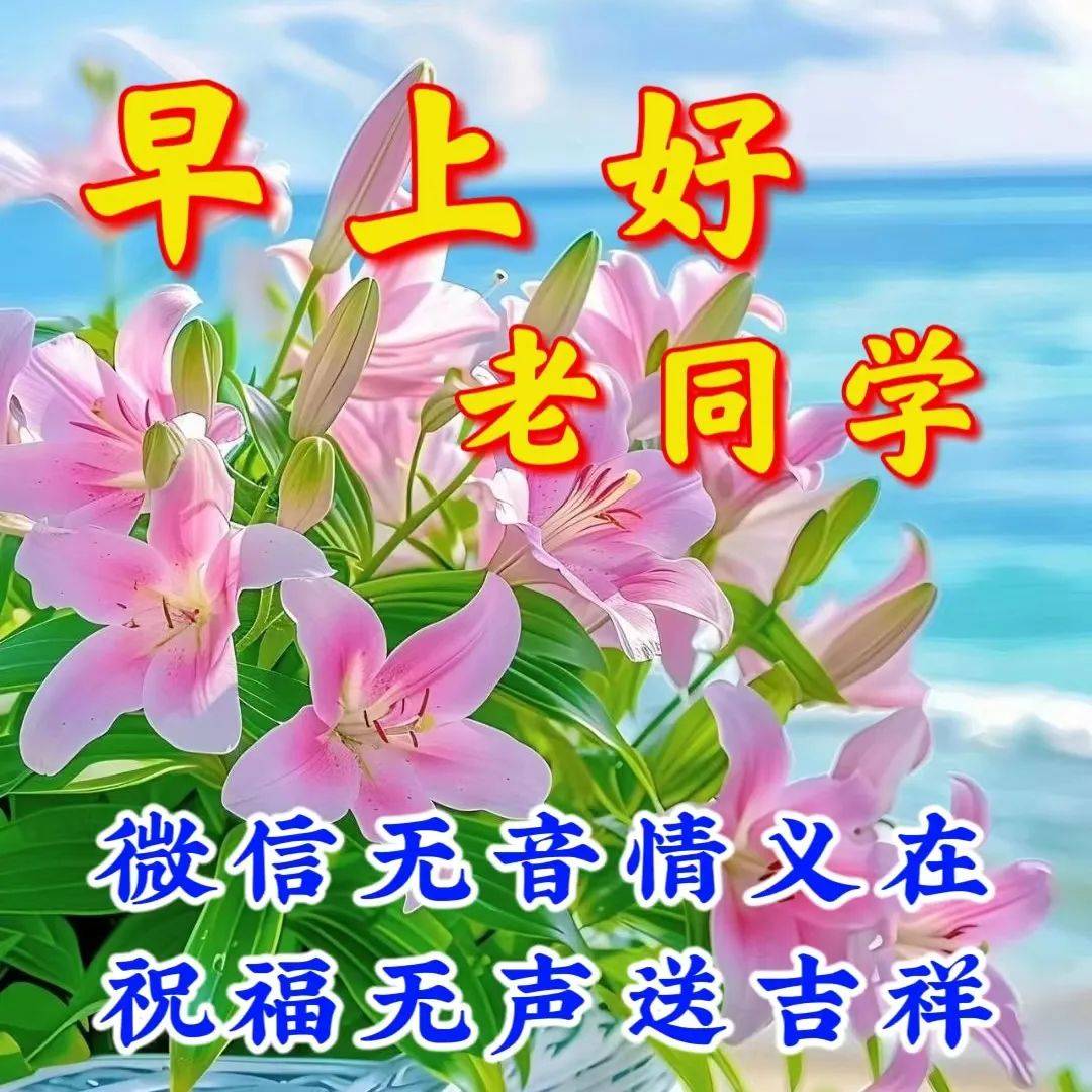 老同学早晨好微信图片图片