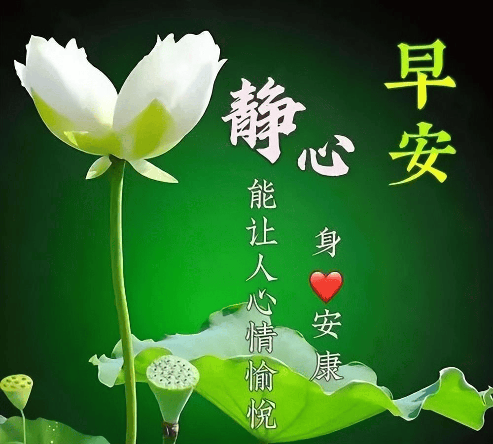 早上好,美好祝福,幸福永久_问候_风景_风光