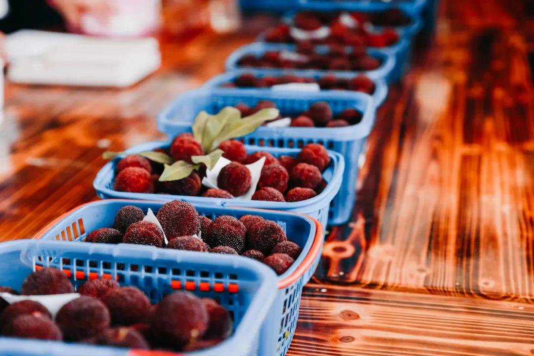 初夏丽水游:缙云仁岸杨梅节,甜甜酸酸杨梅 嗨嗨嗨赛龙舟