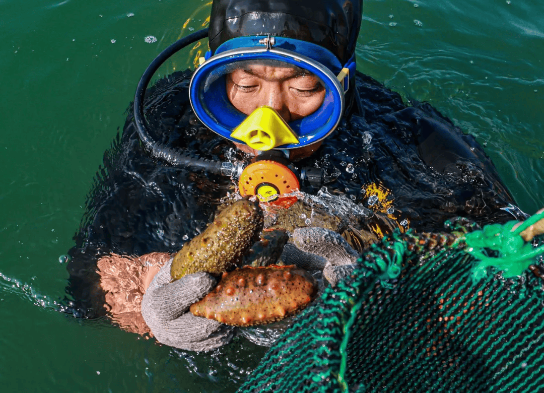 别犹豫,来荣成玩,海鲜美食,风光旖旎