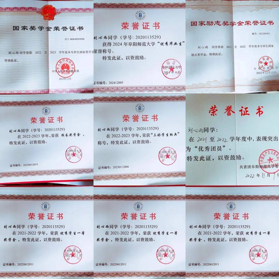 获安徽省高等学校优秀毕业生,校优秀毕业生,三好学生标兵,三好学生