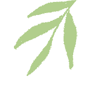六月文艺日历|这些剧目等你"艺"起过夏天